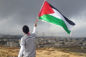 一位年轻人挥舞着巴勒斯坦的旗帜。（图：Foreign Policy Journal）