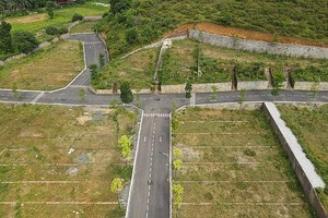 （示意图：互联网）