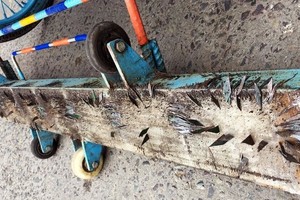 在从铃春高架桥到神浪高架桥的路段捡拾的钉子。