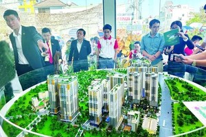 客户正在了解平阳省苡安市的一个公寓项目。（图：德忠）