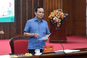 政府副总理陈留光在会议上发表讲话。（图：VGP）