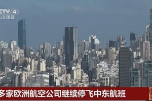 多家欧洲航空公司继续停飞中东航班