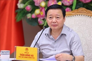 政府副总理陈红河主持会议。（图：越通社）