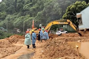 保禄岭 20 日起实施交通限行