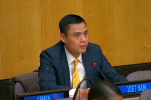 越南常驻联合国代表团团长邓黄江大使。（图：人民报）