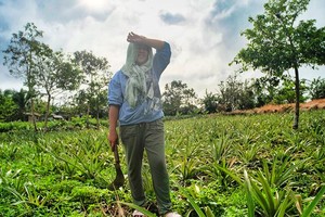 在菲律宾甲米地省，一位农民冒着正午的高温查看她的庄稼。亚太地区温室气体排放量占全球排放总量的一半以上，受到灾害和气候风险的冲击也比任何其他地区更为严重。（图：互联网）