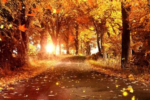 （示意图：互联网）