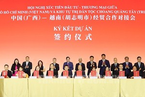 加强促进本市与中国广西投资贸易合作