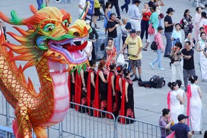 多伦多第五届龙文化节揭幕