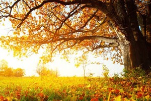 （示意图：互联网）