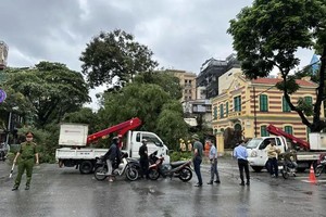 河内市职能力量正在进行交通疏导，确保3号台风过后的交通安全。（图：越通社）