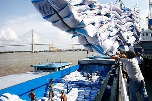 今年前8个月大米出口近616万吨。（图：越通社）