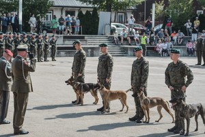 波兰为4只军犬授予军衔
