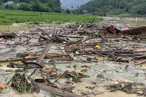 灾情报告：200 人死亡与失踪