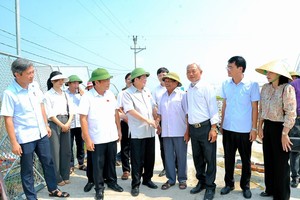 国会副主席阮德海和国会工作团前往海阳省进行实地视察该省的3号台风克服后果情况。（图：海阳报）