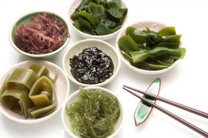 了解被低估藻类食物