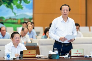 教育与培训部副部长范玉赏在会议上发言。（图：国会）