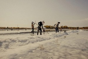 电影《二盐》中的盐村得到精心制作。