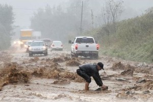 “海伦妮”侵袭美东南部多州致 44 人遇难