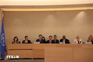 越南外交部副部长杜雄越和越南代表团出席会议。（图：越通社）