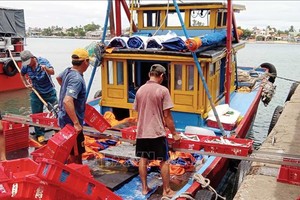 广南省成山县三光渔业港海产销售。（图：越通社）