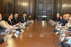 越南与阿根廷外交部第九次政治磋商场景。（图：越通社)