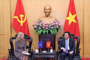 政策咨询研究合作