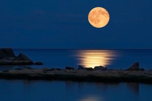 （示意图：互联网）