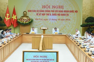 筹备第十五届国会第八次会议