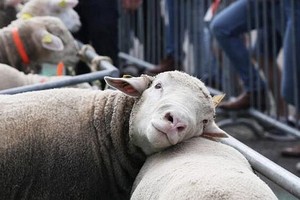 （示意图：互联网）