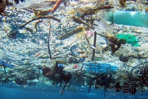 图为漂浮在海洋的大量塑料垃圾，由美国国家海洋和大气管理局提供。（图：共同社）