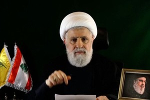 纳伊姆·卡西姆。（图：互联网）