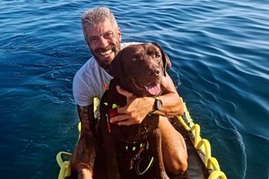 训练员与救生犬时刻在一起。（图：互联网）