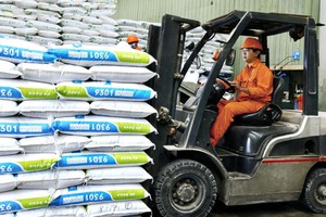 越南德赫斯达全球总产量的25%。（图：VGP）