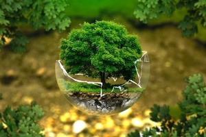 （示意图：互联网）