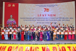 2024年11月13日简讯