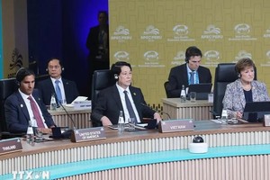 国家主席梁强出席并在亚太经合组织第三十一次领导人会议。（图：越通社）