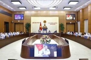 国会常务委员会第39次会议。（图：越通社）