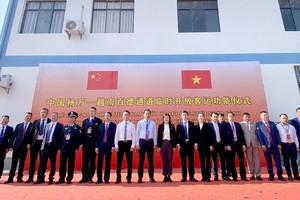 中国杨万-越南百德通道临时开放客运功能。（图：越通社）