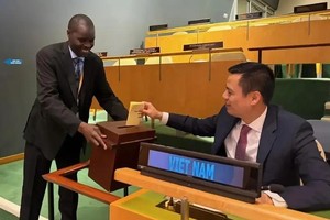 越南常驻联合国代表团团长邓黄江大使参加投票。（图：越通社）