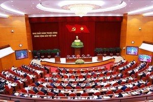 第十三届党中央执委会会议现场。（图：越通社）