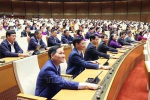 国会通过关于设立顺化中央直辖市的决议。（图：越通社）