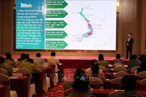 金瓯省防打非法贩卖野生动物行为