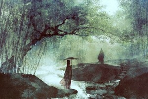 （示意图：互联网）