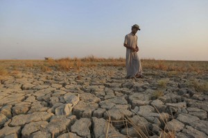 伊拉克一名农民无奈地站在干涸的土地。（图：互联网）