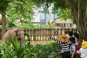 游客参观西贡动物园。（图：秋红）