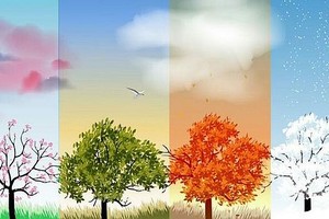 （示意图：互联网）