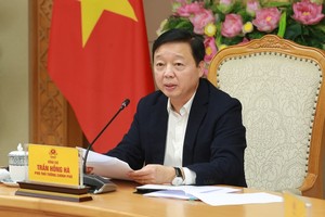 政府副总理陈红河主持会议。（图：VGP）