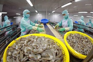 虾类乃7大出口创汇逾10亿美元之一的产品(咖啡、橡胶、大米、果蔬、腰果、虾类与木制品)。