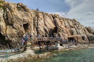 众多国际游客选择越南迎新年